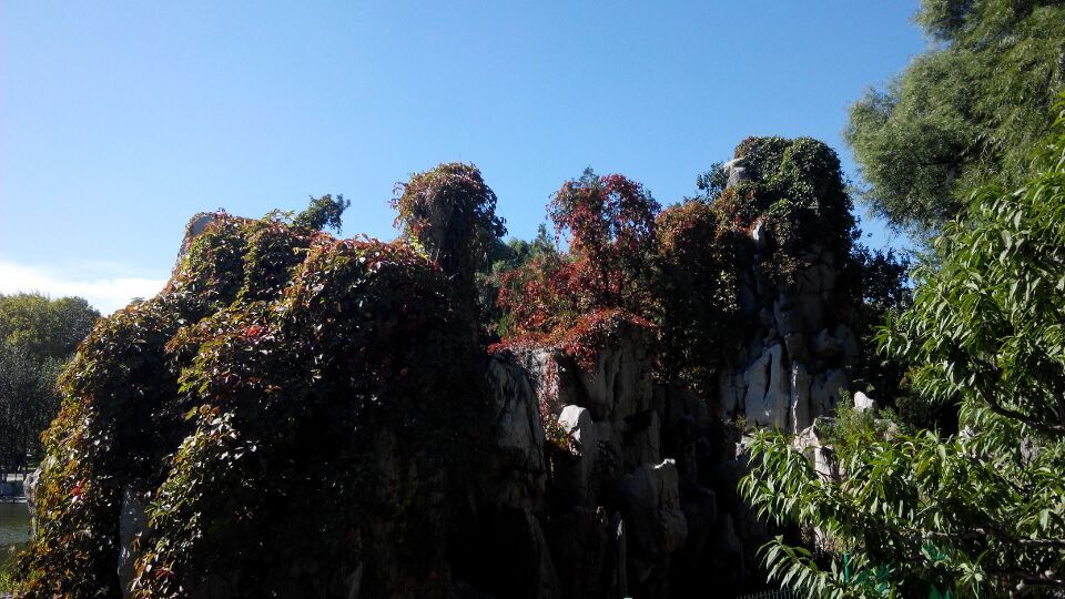 QQ图片20151012141013.jpg