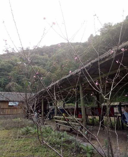 QQ图片20170203125936燕5.JPG