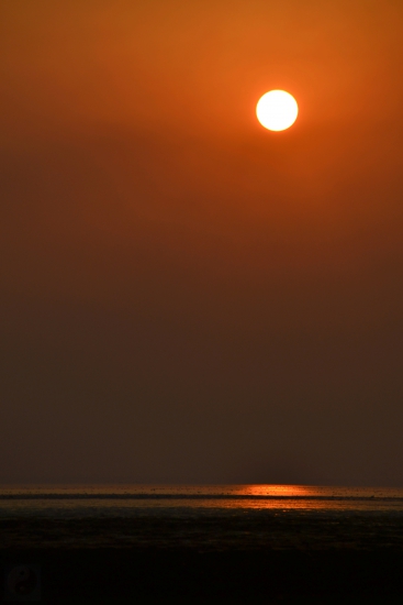 DSC_0239.jpg