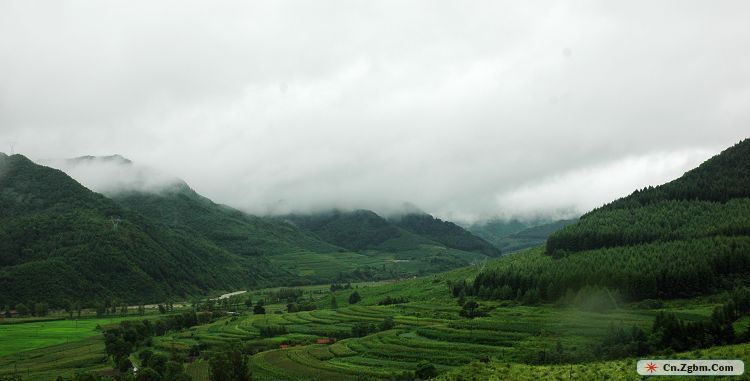 DSC_0131.JPG