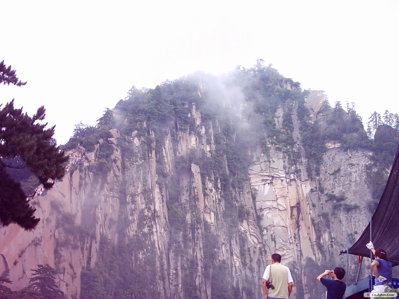 远望飞鱼岭