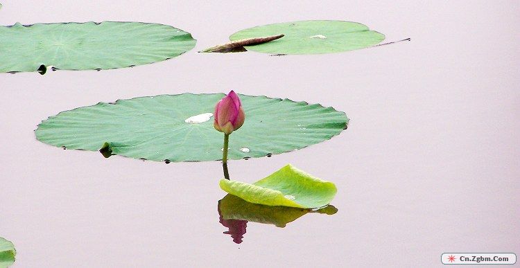 100_4777.JPG