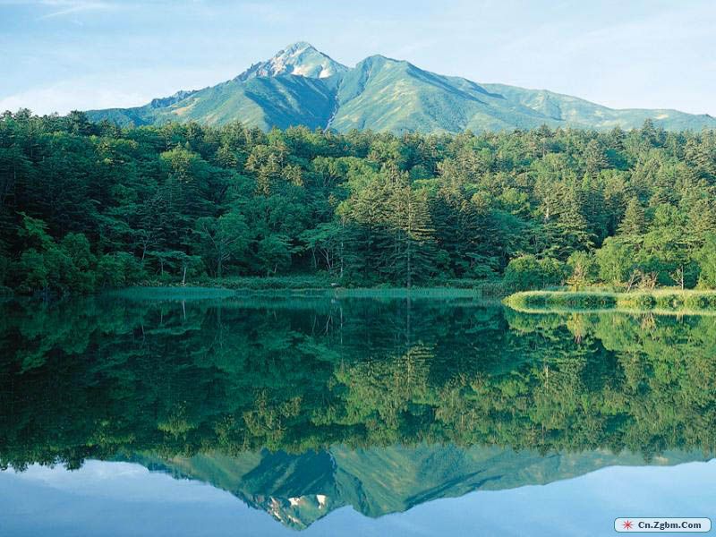 箭竹海