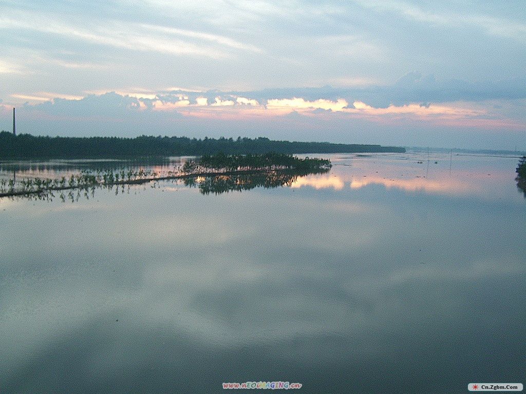 SL271588.JPG