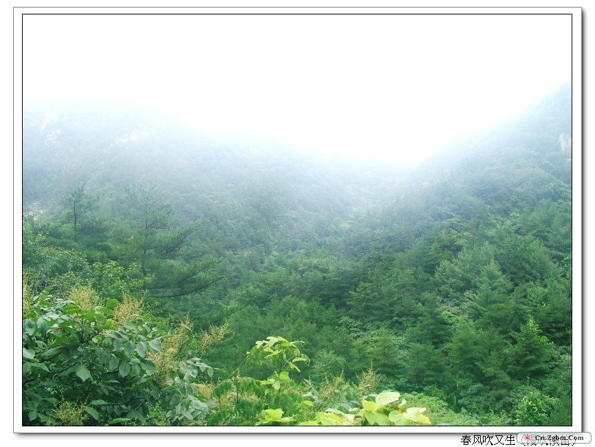 img021.jpg