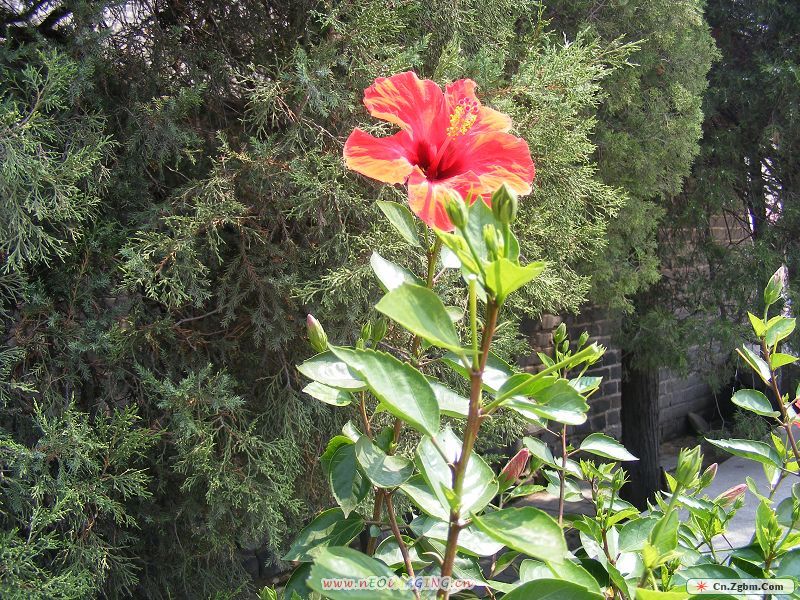 照片 060.jpg