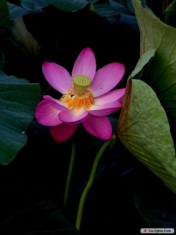 100_4957.JPG