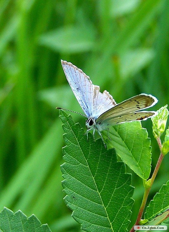100_5224.JPG