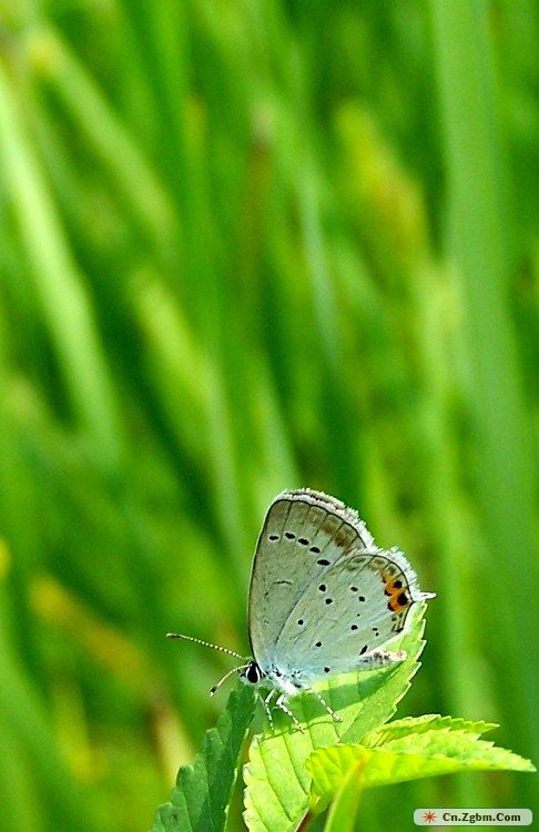 100_5221.JPG