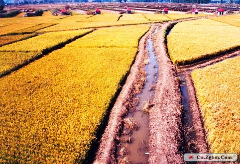 塞罕坝-05（宋振军摄影）.jpg