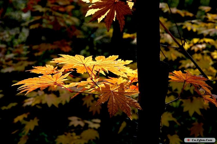 DSC_0025.JPG