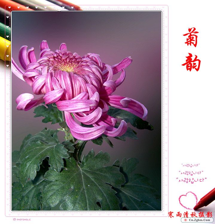 100_7652.JPG