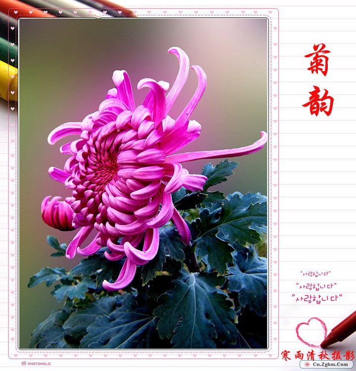 100_7611.JPG