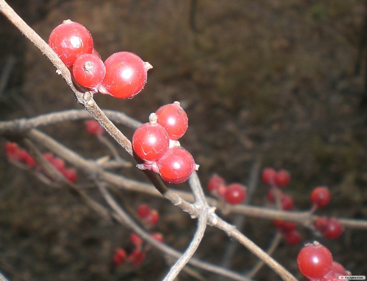 冬 054.jpg