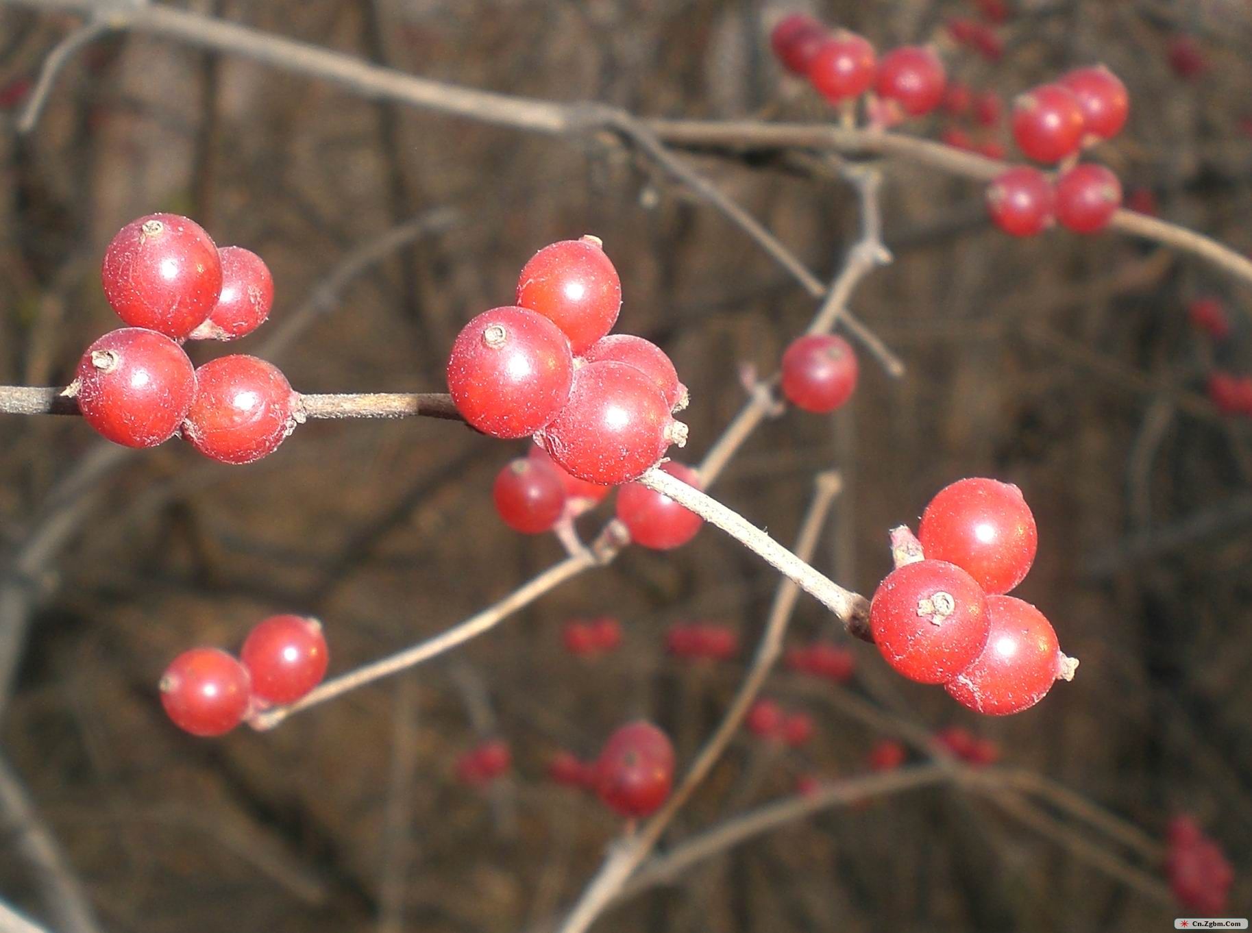 冬 053.jpg