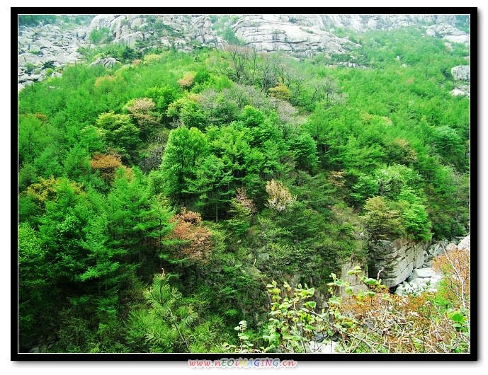 img066.jpg