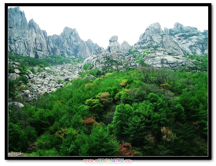img063.jpg