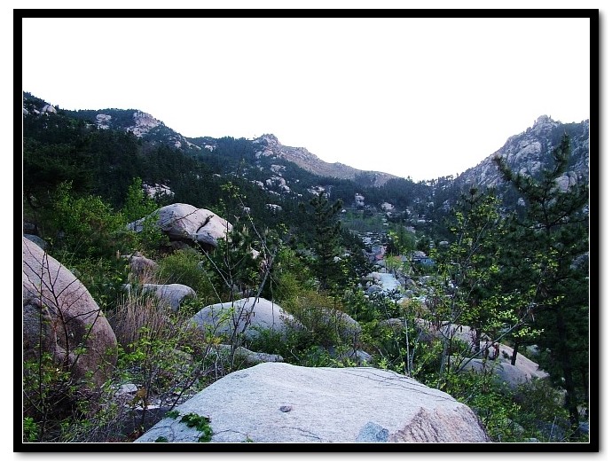img001.jpg