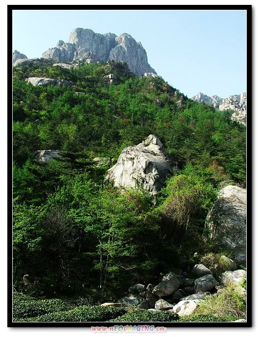 img038.jpg