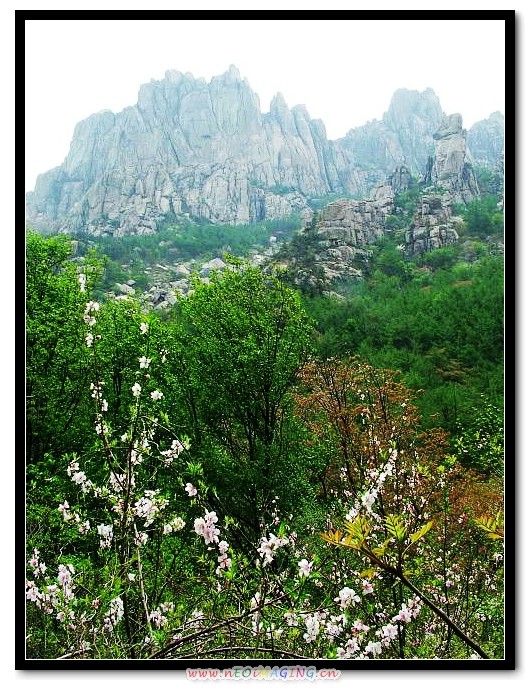 img085.jpg