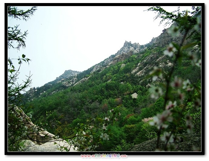img079.jpg