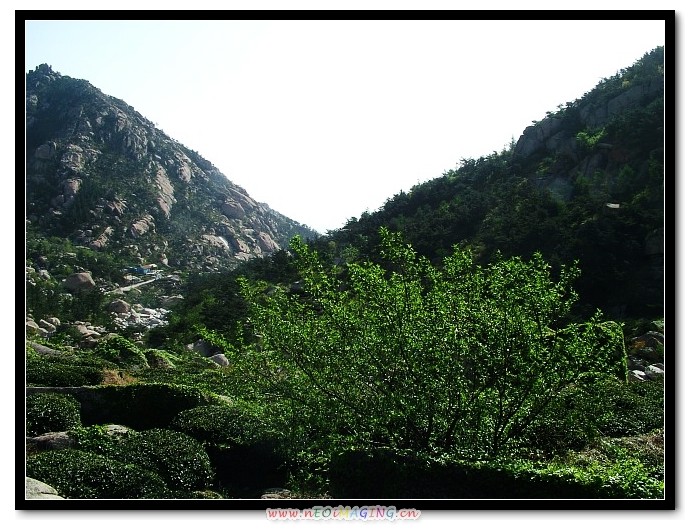img023.jpg