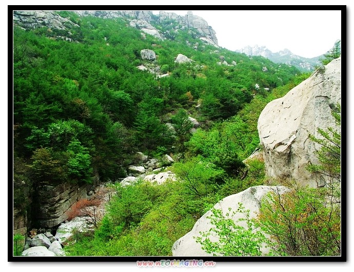 img072.jpg