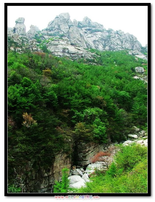img071.jpg