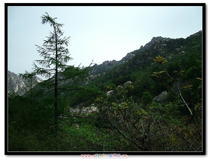 img057.jpg
