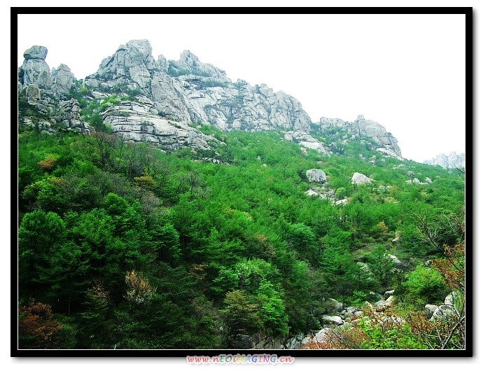img065.jpg