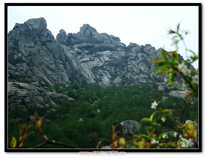 img083.jpg